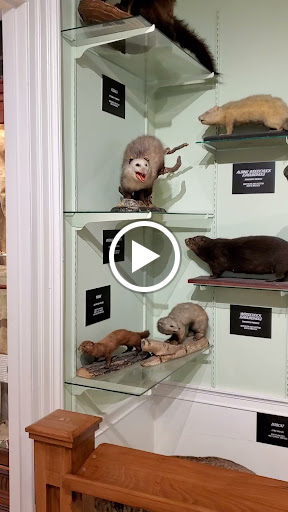 Museum «Woodman Museum», reviews and photos, 182 Central Ave, Dover, NH 03820, USA