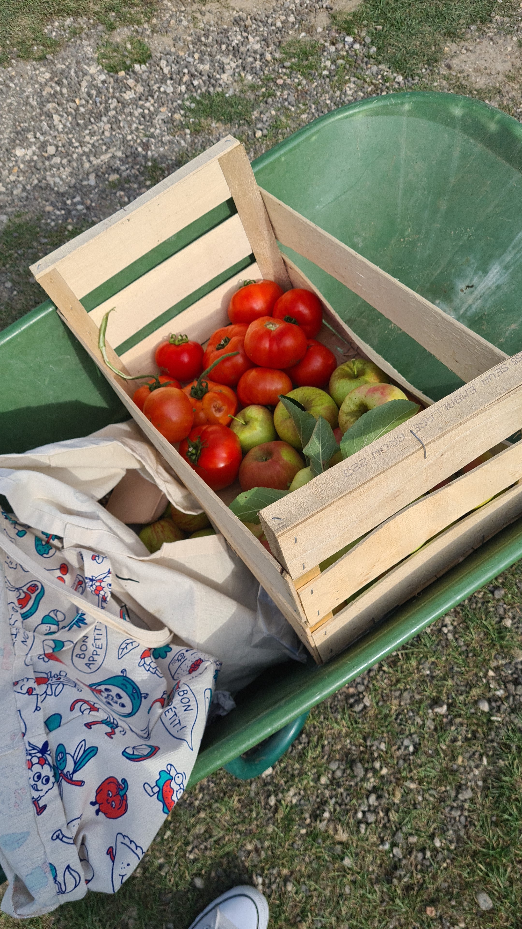 Photo n° 1 de l'avis de Naima.i fait le 04/10/2021 à 12:22