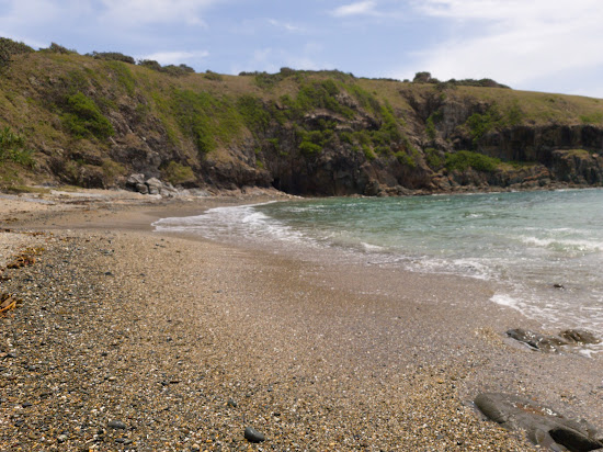 Shelly Beach