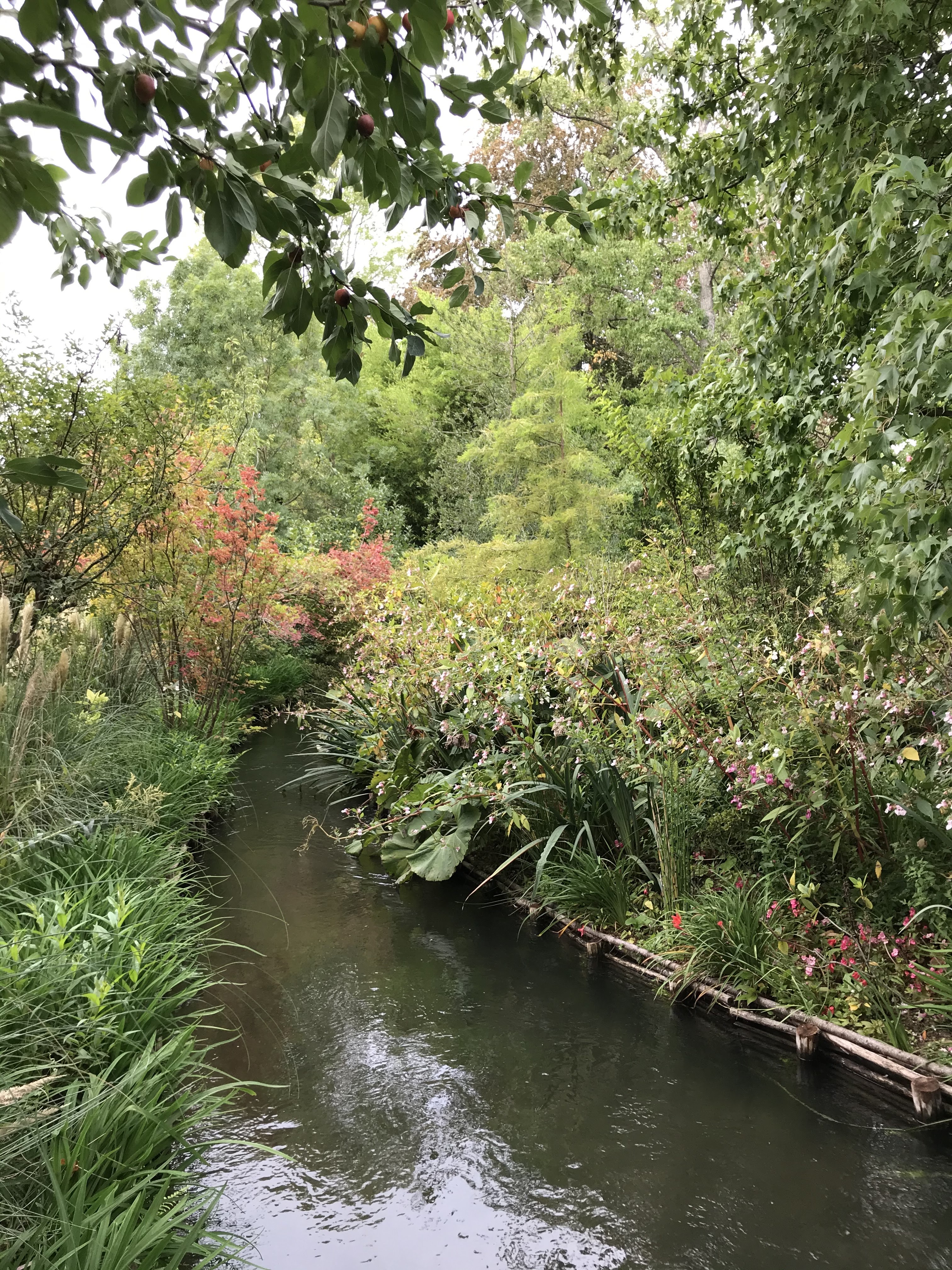 Photo n° 20 de l'avis de Roxane.A fait le 19/08/2021 à 09:20