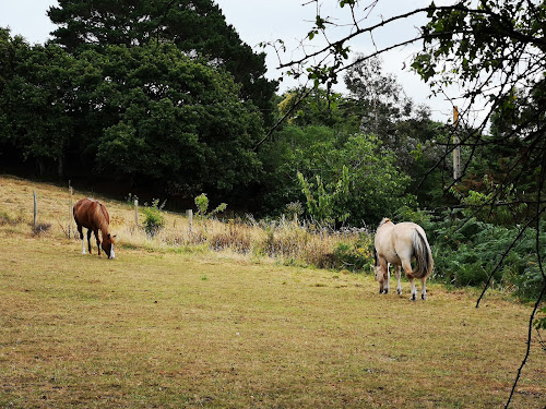 Lodge Le Moulin Esnoux Cancale