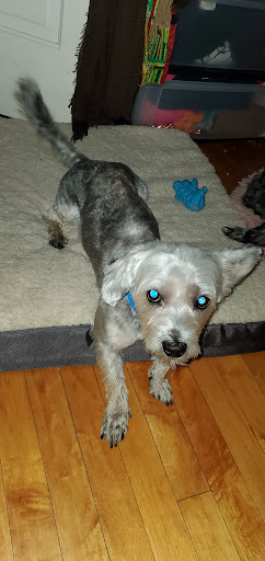 Pet Supply Store «Petco Animal Supplies», reviews and photos, 4950 S 76th St, Greenfield, WI 53220, USA