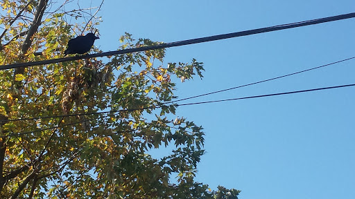 Beauty Salon «Carmela Hair Salon», reviews and photos, 38 Bay Shore Rd, Bay Shore, NY 11706, USA