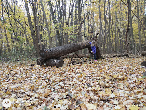 Rotary Park Hiking Trails