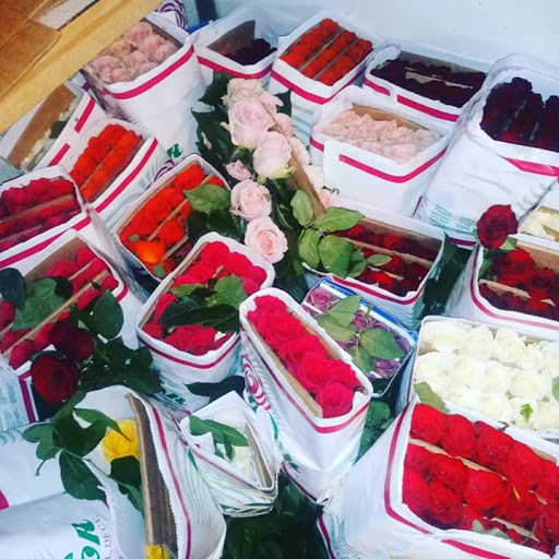 Florist «Send Your Love Flowers & Balloons», reviews and photos, 1417 SW Military Dr, San Antonio, TX 78221, USA