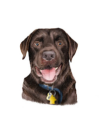 My Guilty Dogs - Photo 2 - Car repair in , Bridgeport