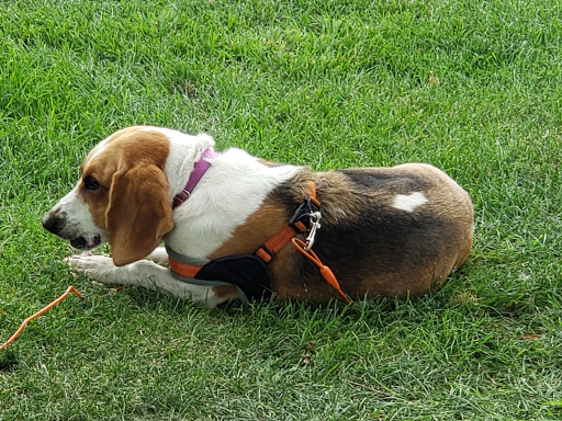 Gym «Bozeman Hot Springs Spa and Fitness», reviews and photos, 81123 Gallatin Rd, Bozeman, MT 59718, USA