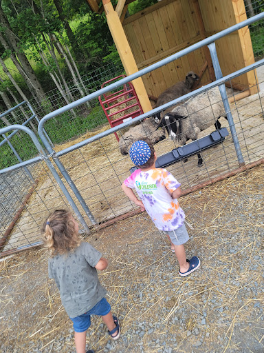 Zoo «The Petting Zoo at Breezeway Farm», reviews and photos, 161 Anawana Lake Road, Monticello, NY 12701, USA