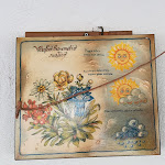 Photo n°4 de l'avis de Ermes.u fait le 13/08/2018 à 23:24 sur le  Ristorante Laris à Cison di Valmarino