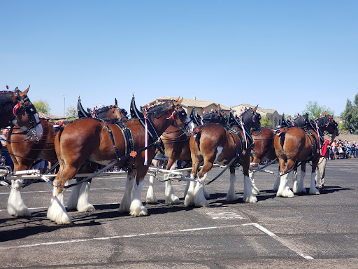 Shopping Mall «Mesa Market Place Swap Meet», reviews and photos, 10550 E Baseline Rd, Mesa, AZ 85209, USA