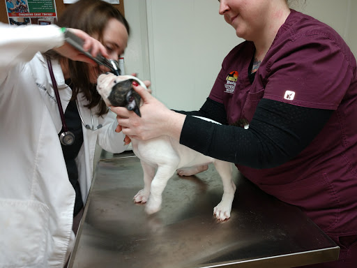 Badger Veterinary Hospital Beloit image