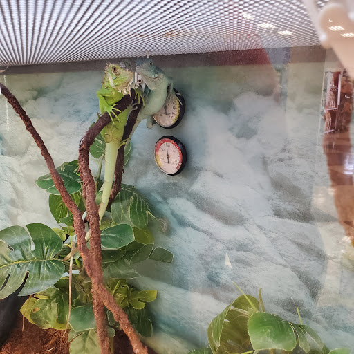 Pet Supply Store «Petco Animal Supplies», reviews and photos, 1815 Newport Blvd b, Costa Mesa, CA 92627, USA