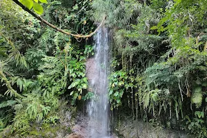 Caunayan Falls image