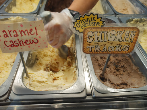 Ice Cream Shop «Owowcow Creamery», reviews and photos, 4105 Durham Rd, Ottsville, PA 18942, USA