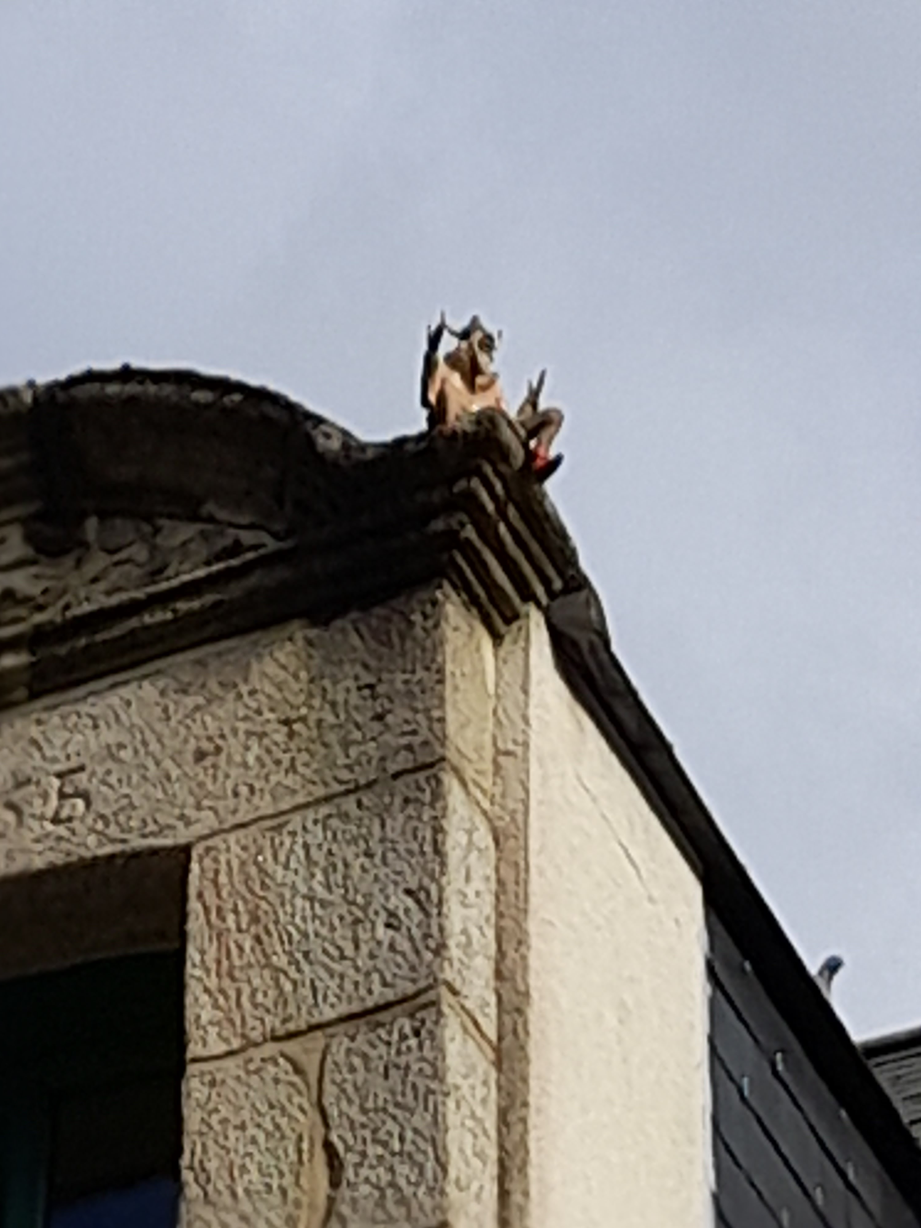 Photo n° 8 de l'avis de chalmeau.o fait le 27/03/2021 à 07:05
