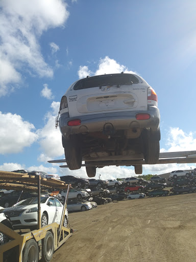 Auto Auction «Insurance Auto Auctions Inc», reviews and photos, 1208 17th St E, Palmetto, FL 34221, USA
