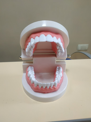 Dental Studyo Chp