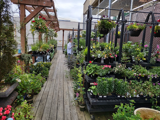 Hardware Store «Westgate Ace Hardware», reviews and photos, 2675 N Pearl St, Tacoma, WA 98407, USA