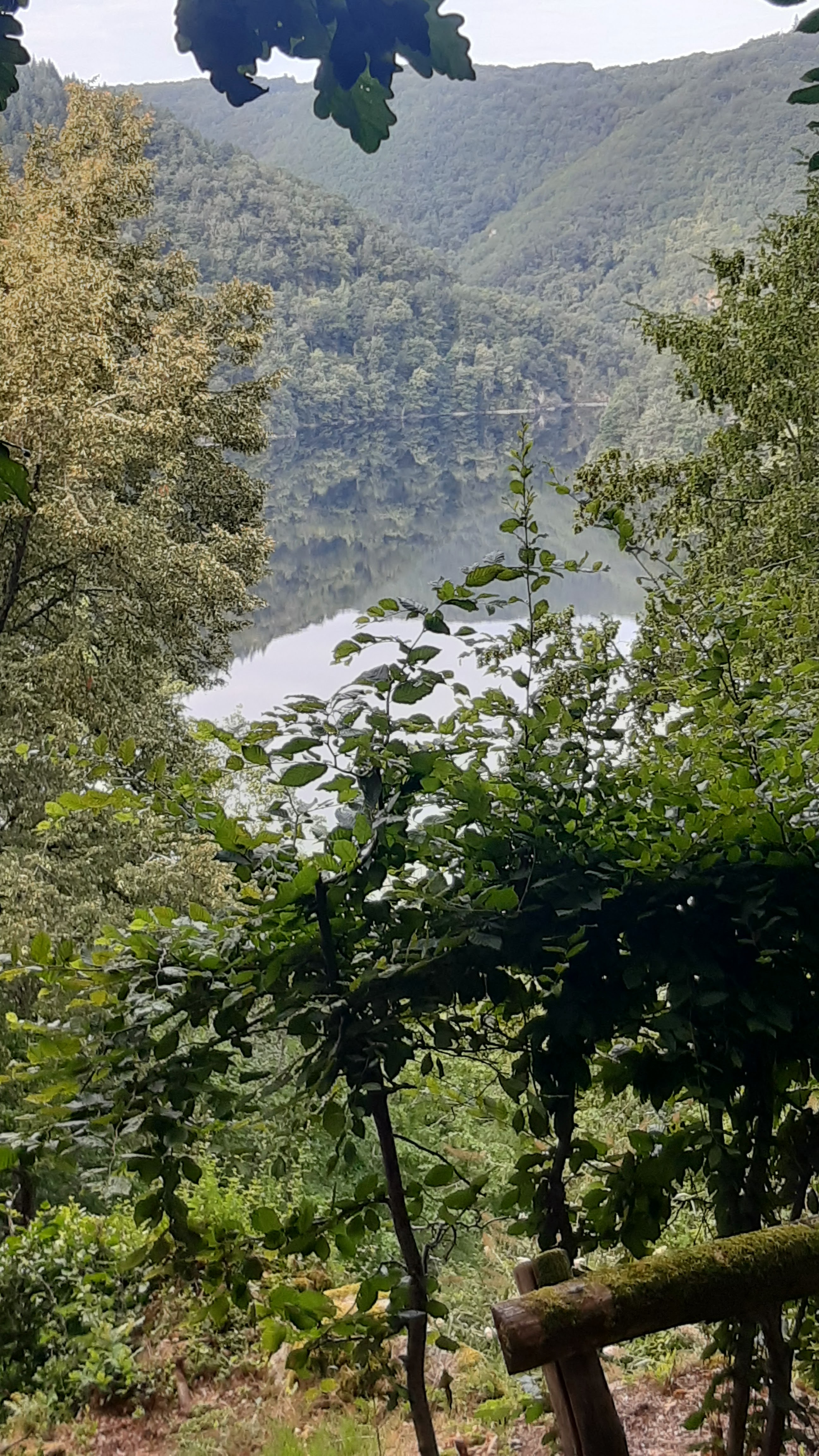 Photo n° 2 de l'avis de Dominique.e fait le 18/07/2023 à 15:42