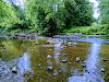 Shaws Bridge Park