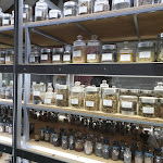 Photo n° 5 de l'avis de Estelle.o fait le 29/07/2019 à 15:49 pour Jardin Camifolia à Chemillé-en-Anjou