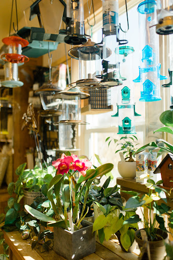 Florist «Island Orchids», reviews and photos, 2204 W Colorado Ave, Colorado Springs, CO 80904, USA