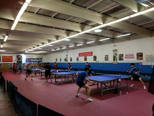 Table tennis club Arlington