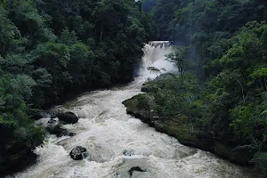 La cascada de "El Salto", Chiapas image