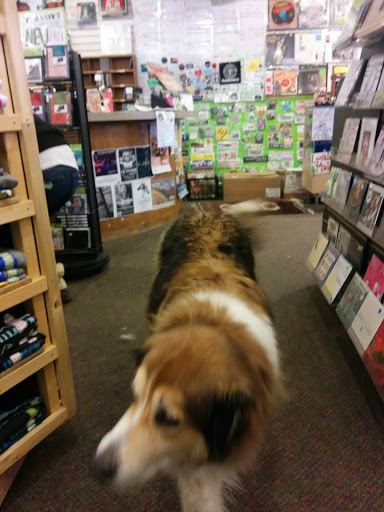 Record Store «Cactus Records & Gifts», reviews and photos, 29 W Main St, Bozeman, MT 59715, USA