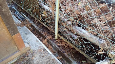 南平八坂神社湧水