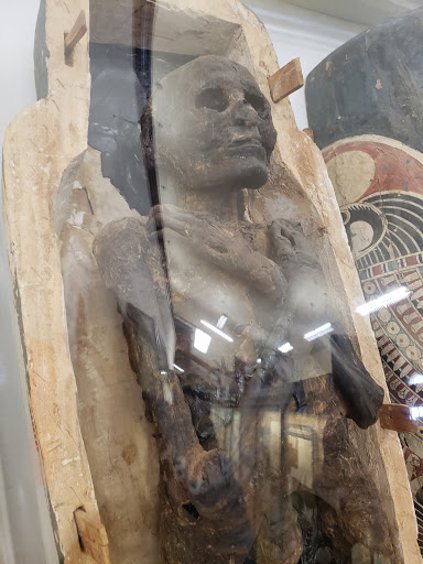 Museum «Rutgers Geology Museum», reviews and photos, 85 Somerset St, New Brunswick, NJ 08901, USA