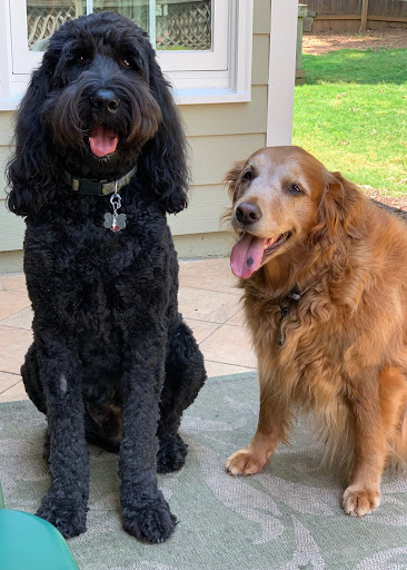 Pet Supply Store «PetSmart», reviews and photos, 3630 Peachtree Pkwy, Suwanee, GA 30024, USA