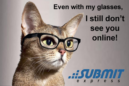 Submit Express image