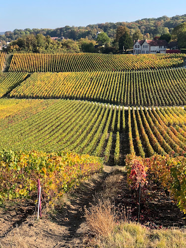 attractions Champagne Gardet Chigny-les-Roses