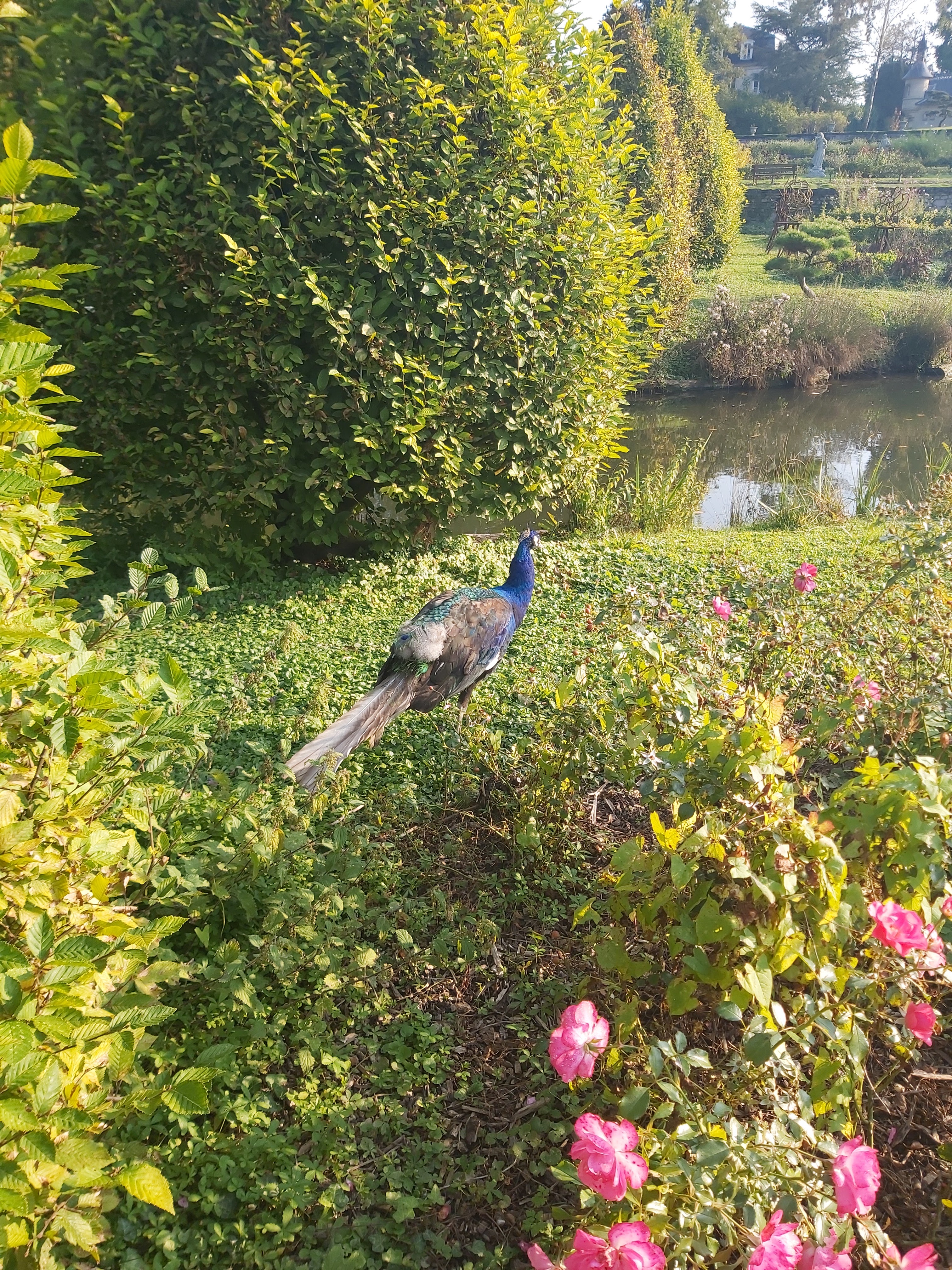 Photo n° 7 de l'avis de Fabienne.o fait le 10/10/2021 à 22:30