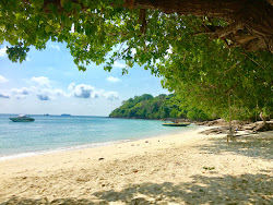 Luke Yon Bay Beach'in fotoğrafı geniş bir kıyı şeridi ile birlikte