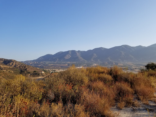 Amphitheater «Glen Helen Amphitheater», reviews and photos, 2575 Glen Helen Pkwy, San Bernardino, CA 92407, USA