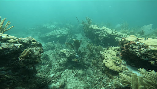 Park «El Prado Park», reviews and photos, 4500 El Mar Dr, Lauderdale-By-The-Sea, FL 33308, USA