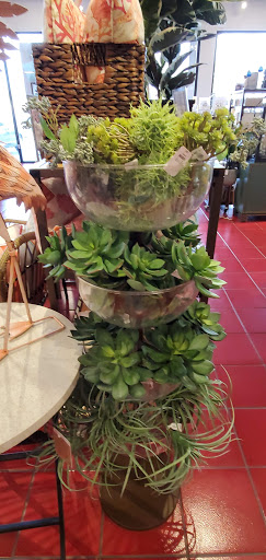 Home Goods Store «Pier 1 Imports», reviews and photos, 1309 Cooper Point Rd SW, Olympia, WA 98502, USA