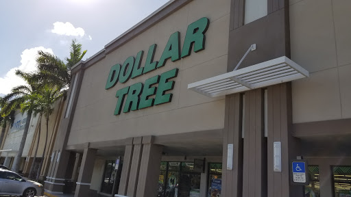 Dollar Store «Dollar Tree», reviews and photos, 1391 SE 17th St, Fort Lauderdale, FL 33316, USA