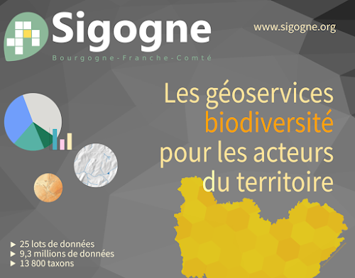 Sigogne à Besançon