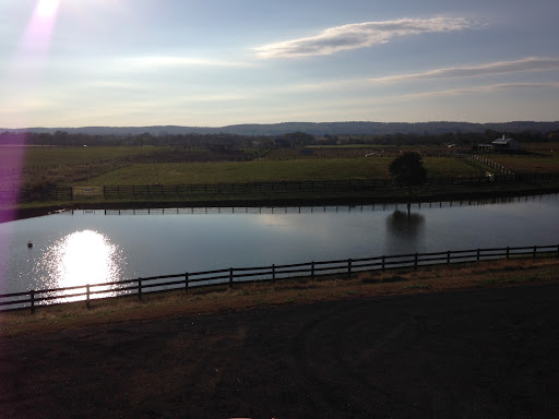 Winery «Winery 32», reviews and photos, 15066 Limestone School Rd, Leesburg, VA 20176, USA