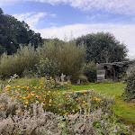 Photo n° 6 de l'avis de Anne-Marie.h fait le 18/09/2023 à 07:47 pour La paysagerie en caux à Baons-le-Comte