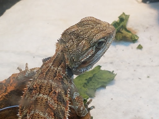 Pet Store «Tanks Pet Supply», reviews and photos, 628 S Main St, Princeton, IL 61356, USA