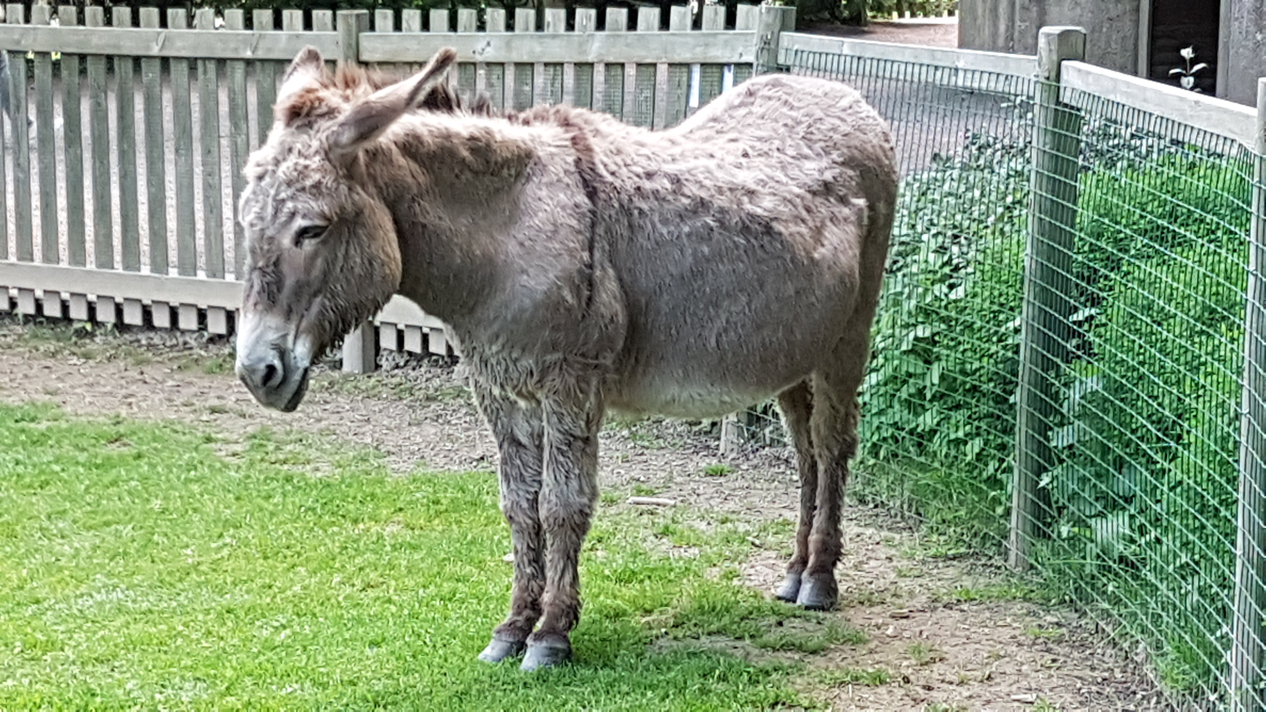 Photo n° 15 de l'avis de Dominique.A fait le 21/05/2019 à 20:35