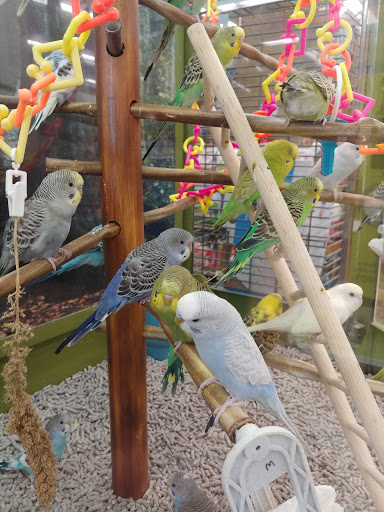 Pet Supply Store «Petco Animal Supplies», reviews and photos, 244 Pioneer Trail, Chaska, MN 55318, USA