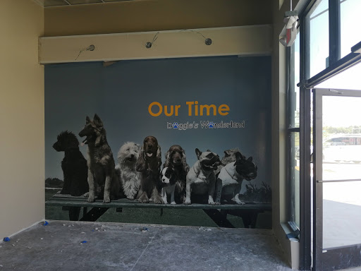 Commercial Printer «Minuteman Press of Richardson», reviews and photos, 850 S Greenville Ave #114, Richardson, TX 75081, USA