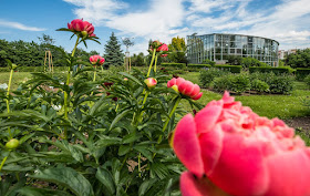 Zahrada léčivých rostlin Farmaceutické fakulty UK