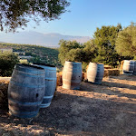 Photo n°2 de l'avis de Giovanni.a fait le 03/08/2023 à 17:58 sur le  Serragiumenta Castle à Altomonte