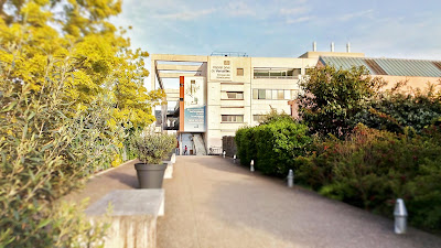 Chirurgie Orthopédique Versailles à Versailles